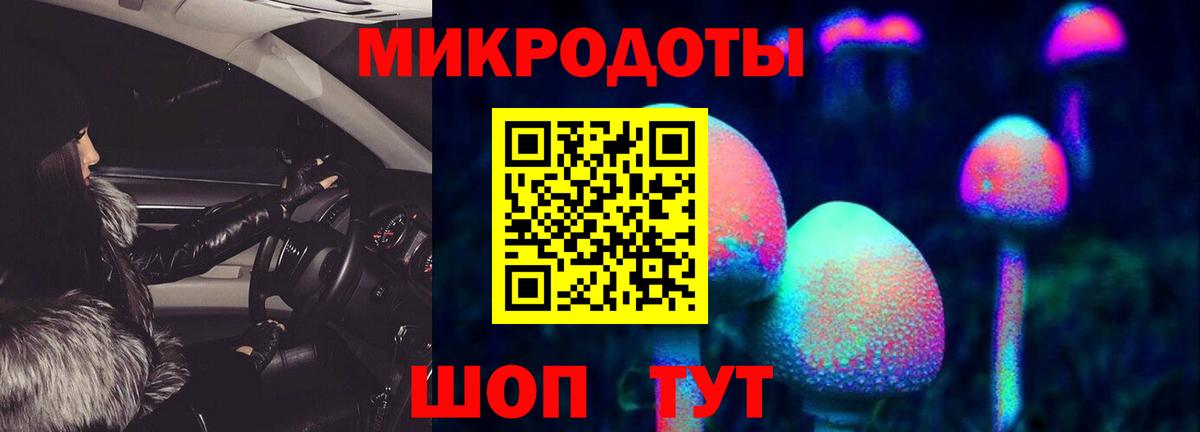 Псилоцибиновые грибы MAGIC MUSHROOMS  закладки  Вход с VPN  Кинель  Псилоцибиновые грибы Psilocybine cubensis 