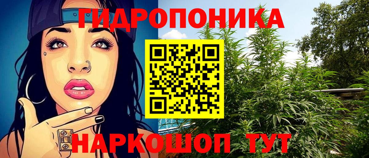 Марихуана Ganja  Вход с VPN  Канабис White Widow  Кинель 